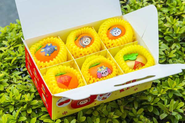 ▲▼7-11推出「OPEN!家族」拜年貼圖,還有應景的OPEN春聯、盒玩公仔、紅包袋、禮盒等多款商品。(圖/業者提供)