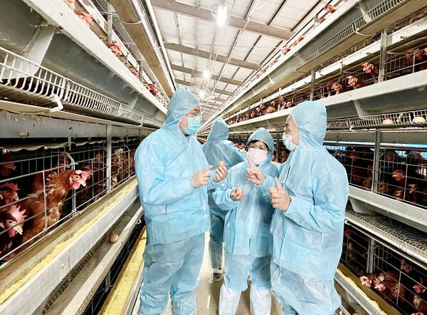 ▲桃園市農業局人員今天針對轄區154家養禽場加強防護。(圖/桃市農業局提供)