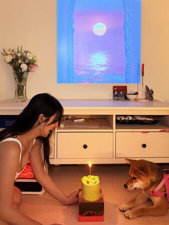 ▲▼阿喜。(圖/翻攝自Instagram/joyshishi777)