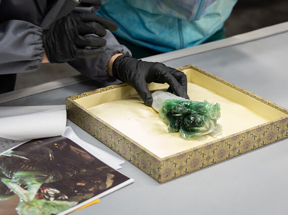 ▲▼故宮〈翠玉白菜〉平安歸國。(圖/故宮提供)