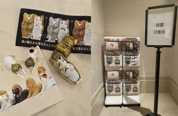 ▲▼奇美博物館法老貓扭蛋。(圖/讀者授權提供,請勿翻攝,以免侵權)