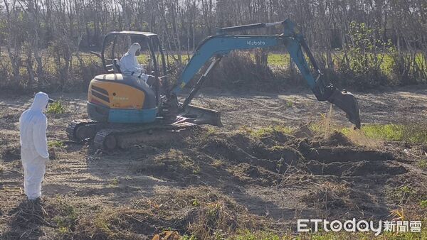 ▲台中豐康牧場將1千多隻染禽流感死雞,遠載苗栗另家養雞場門口前的農地掩埋,受害業者痛斥真缺德!苗栗縣政府今挖掘取出後燒毀,並追究業者和地主刑責。(圖/記者楊永盛翻攝)