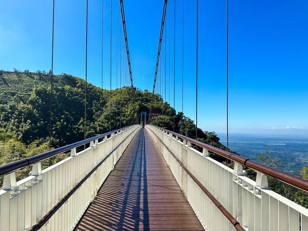 ▲▼嘉義太平雲梯。(圖/嘉義縣政府提供)