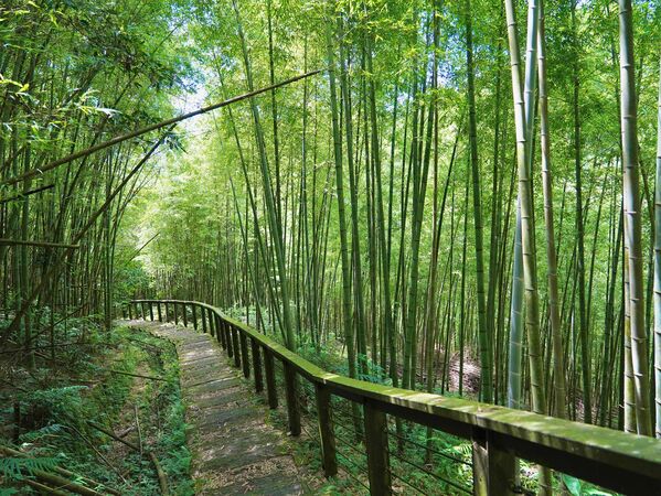 ▲▼嘉義孝子路步道。(圖/嘉義縣政府提供)