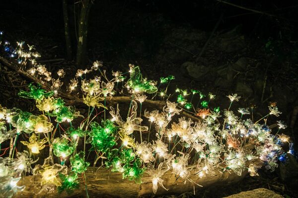 ▲▼屏東奇幻大津。(圖/屏東縣政府提供)