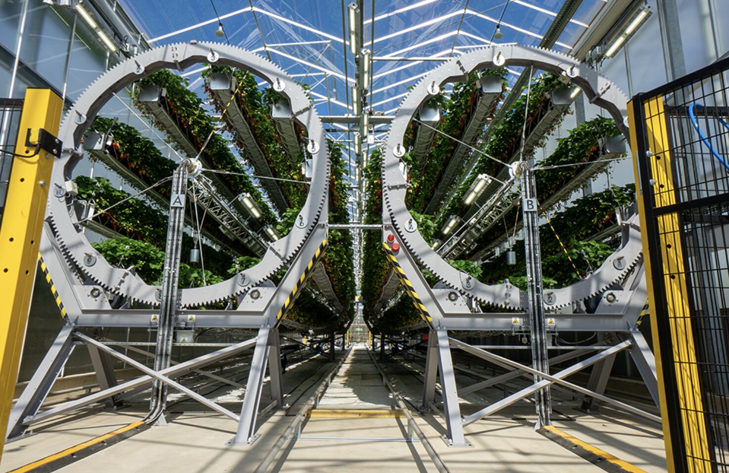 ▲▼Dyson,AI,機器人。(圖/取自dyson官網)