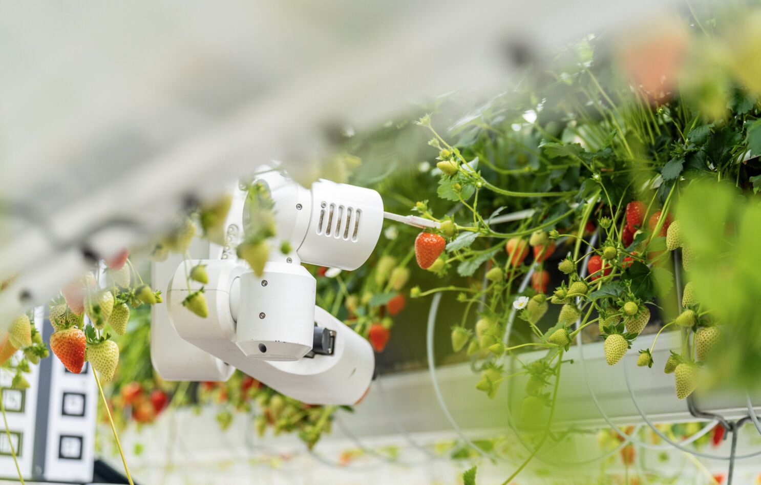 ▲▼Dyson,AI,機器人。(圖/取自dyson官網)