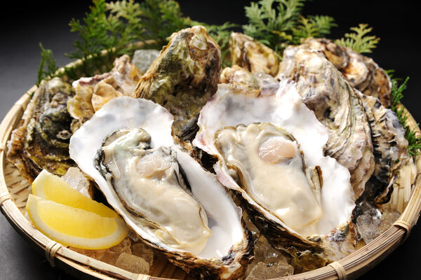 ▲▼廣島美食。(圖/HIT廣島縣觀光聯盟提供)