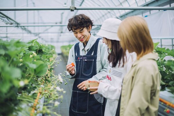 ▲▼廣島美食。(圖/HIT廣島縣觀光聯盟提供)