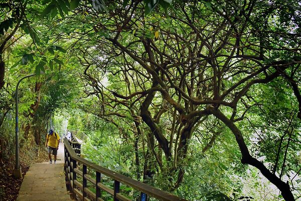 ▲台北大縱走三種走法。(圖/大地處提供)