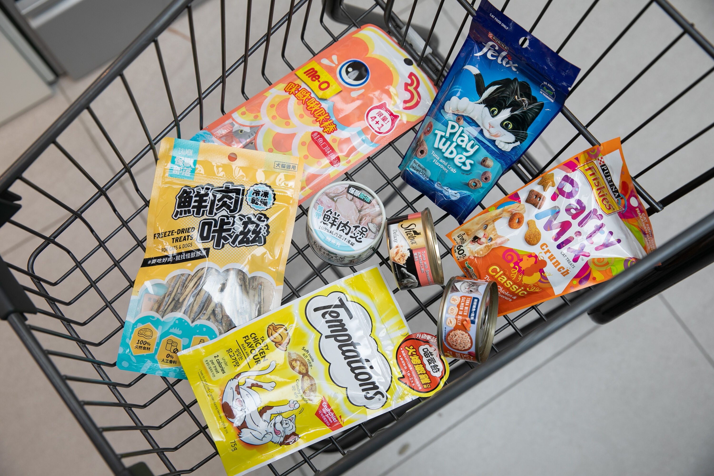 ▲▼(業配)全家貓之日。(圖/記者周宸亘攝)