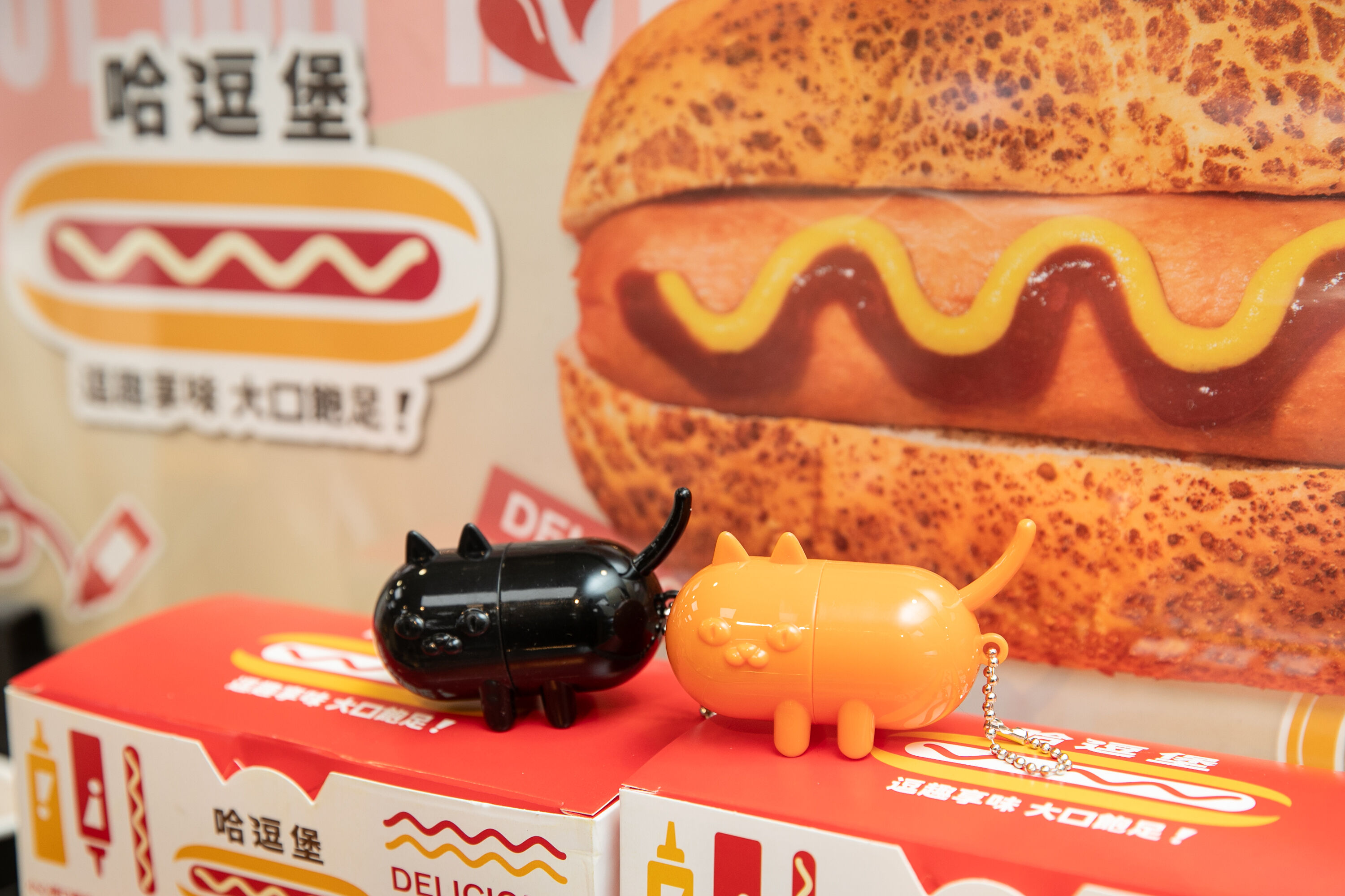 ▲▼(業配)全家貓之日。(圖/記者周宸亘攝)