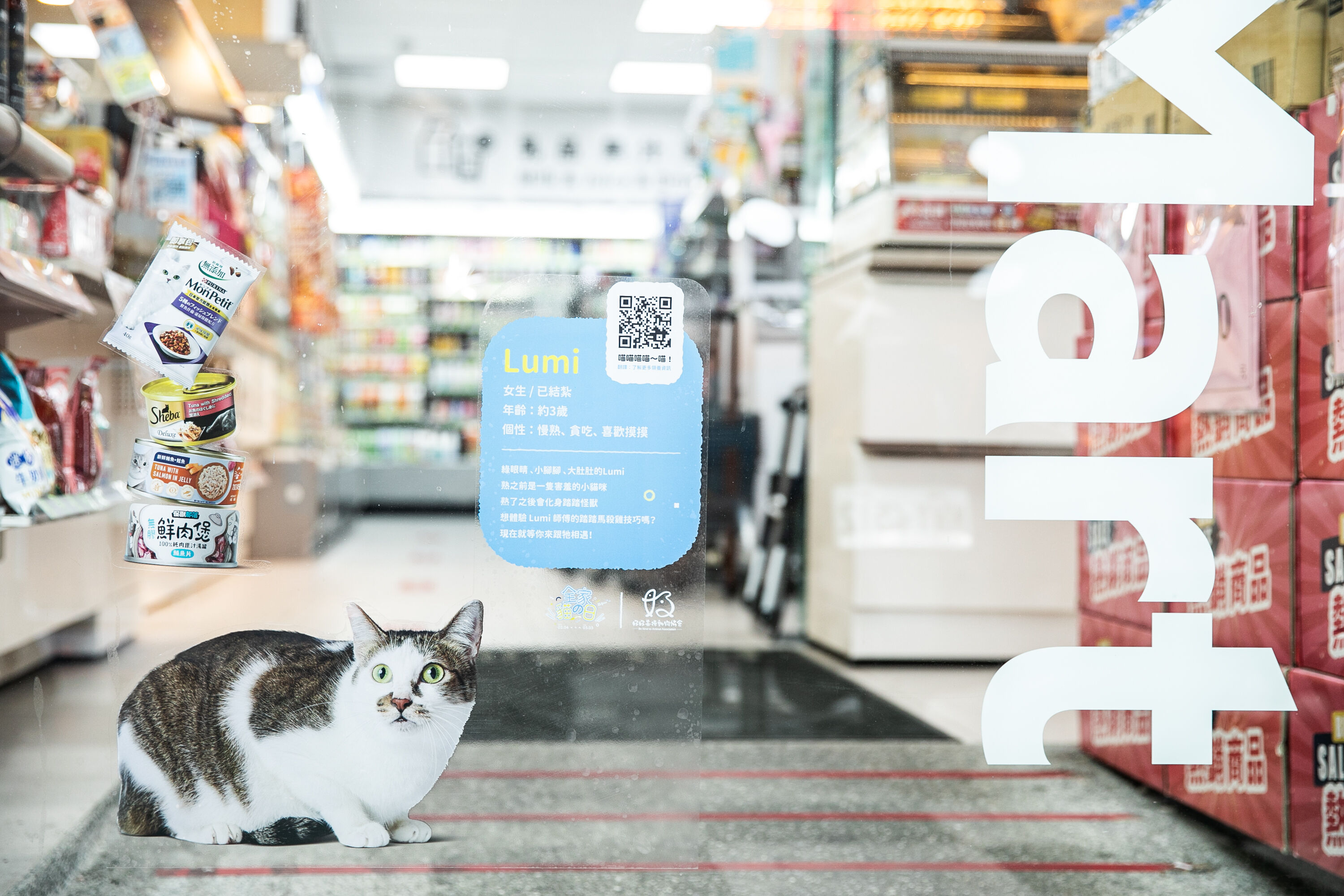 ▲▼(業配)全家貓之日。(圖/記者周宸亘攝)