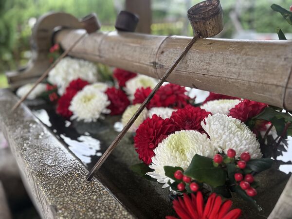 ▲桃園神社將於2月17日至2月22日推出一系列新春限定活動。(圖/桃園神社提供)