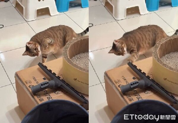 ▲。(圖/Threads@rixty_提供,請勿隨意翻拍,以免侵權。)