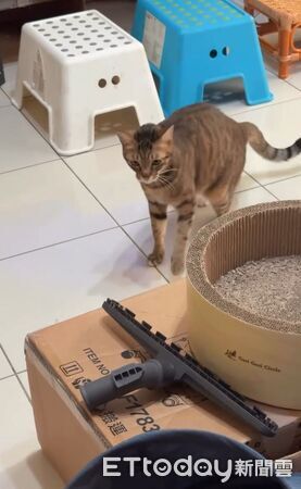 ▲。(圖/Threads@rixty_提供,請勿隨意翻拍,以免侵權。)