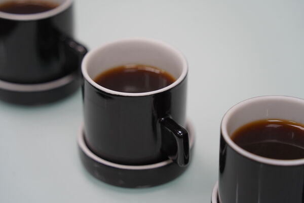 (過年留稿使用)▲▼民進黨立委范雲開箱民進黨雲林縣長參選人、立委劉建國的辦公室。(圖/立委范雲國會辦公室提供)