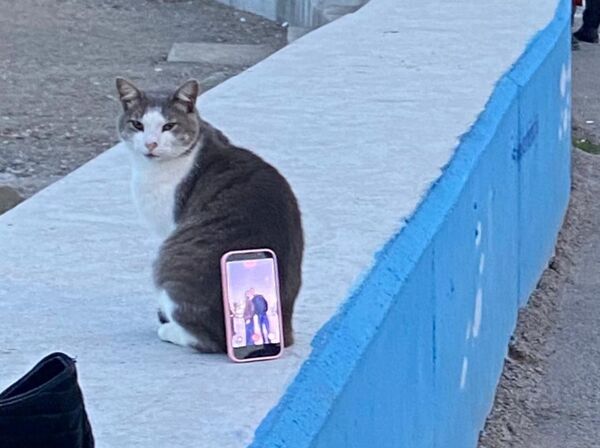 ▲。(圖/翻攝自Reddit/@Few_Bandicoot2302)