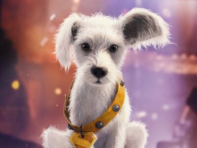 《超人》萌犬超狗身世真相曝光！傑森摩莫亞演DC反派…差點認不出