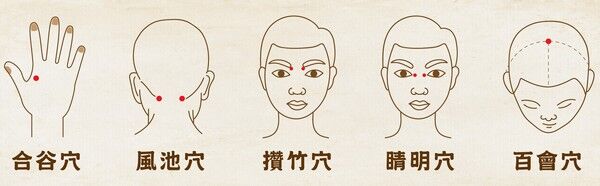 ▲中醫提供三招五穴一茶飲飛蚊不上門