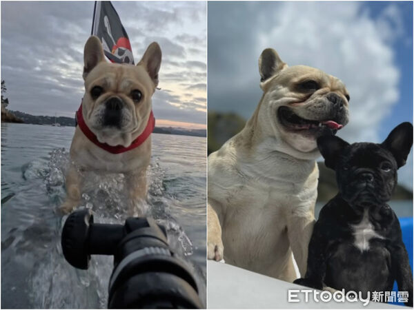 ▲▼「衝浪系」法鬥帶妹帥炸海邊,眾人看呆:這平衡感太強。(圖/Bosco’s Pirate Life提供,請勿隨意翻拍,以免侵權。)