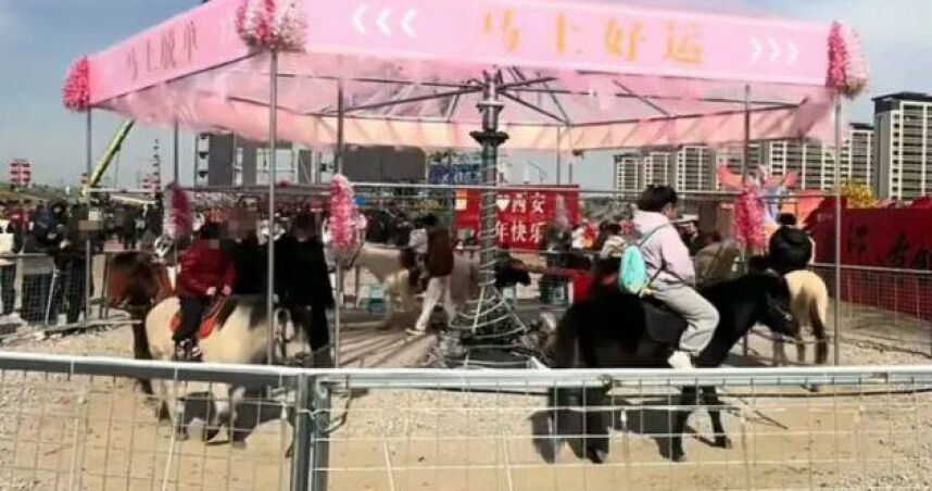 陸風景區推「旋轉真馬」設施!畫面瘋傳挨轟虐待動物 官方回應了