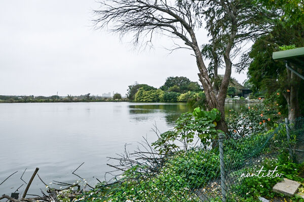 ▲▼陽柳塘薑母鴨。(圖/部落客水晶安蹄不務正業過生活授權提供)