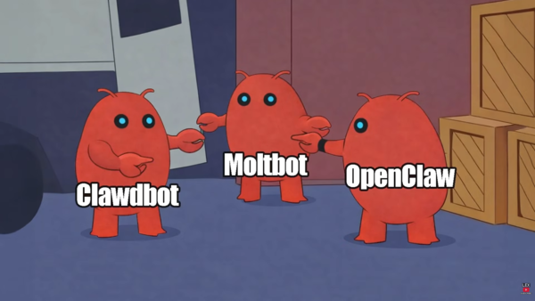 ▲▼OpenClaw開發者曝OpenAI、Meta有意收購。(圖/YT@lexfridman)