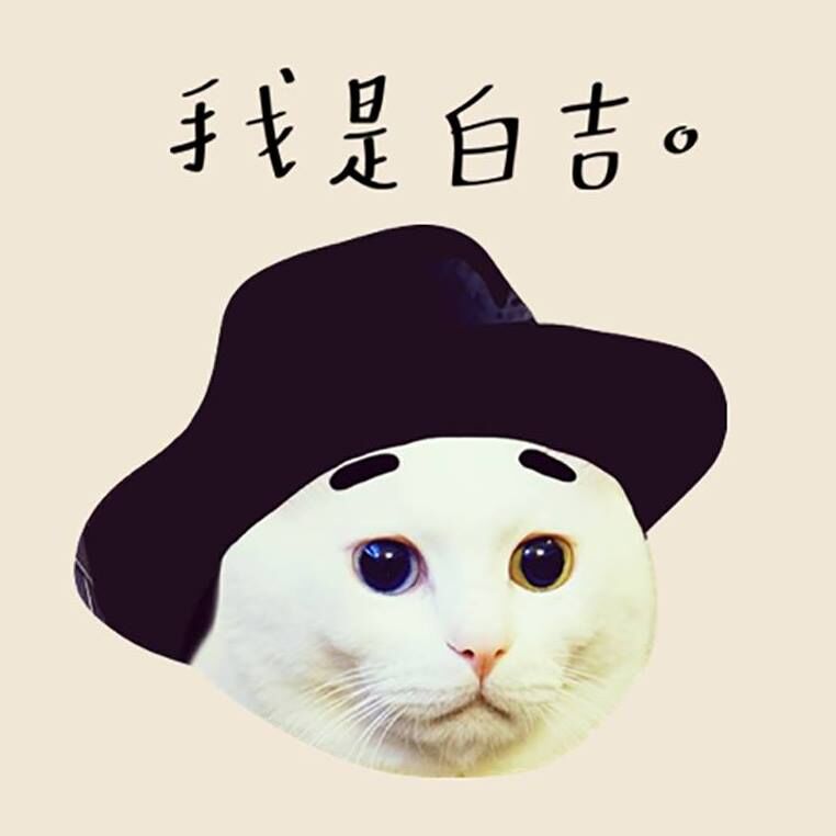 ▲萌貓「白吉」離世。(圖/翻攝自「我是白吉」粉專)