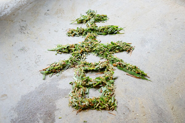 台北市立動物園年菜。(圖/台北市立動物園提供)