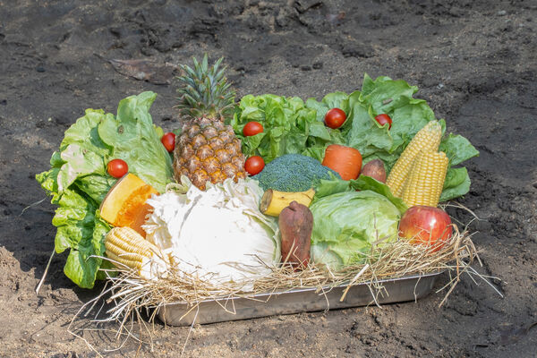 台北市立動物園年菜。(圖/台北市立動物園提供)