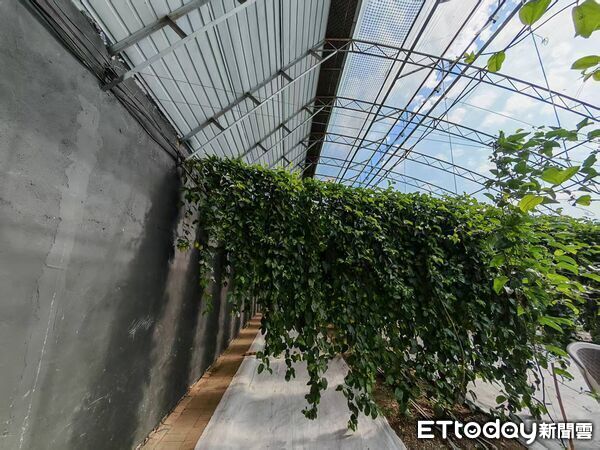 ▲▼ 內蒙留稿、2026 。(圖/記者任以芳攝)