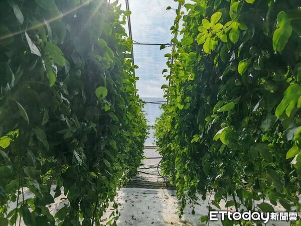 ▲▼ 內蒙留稿、2026 。(圖/記者任以芳攝)