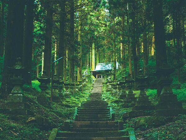 ▲▼九州自由行攻略Top 8。(圖/ReadyGo提供)