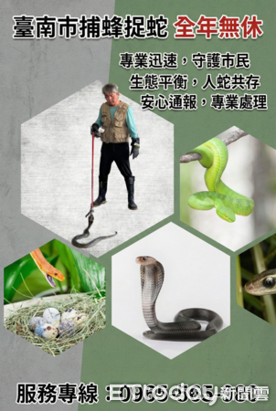 ▲台南市捕蜂捉蛇全年無休,由專業團隊到場處理蜂巢案件。(記者林東良翻攝,下同)