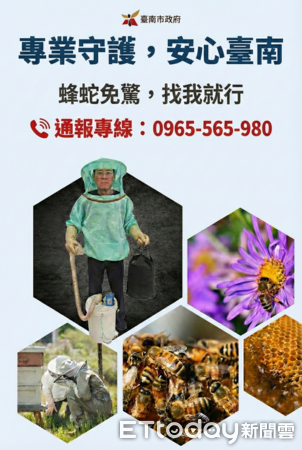▲台南市捕蜂捉蛇全年無休,由專業團隊到場處理蜂巢案件。(記者林東良翻攝,下同)