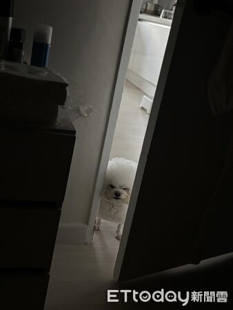 ▲。(圖/Threads@yan_yan711提供,請勿隨意翻拍,以免侵權。)