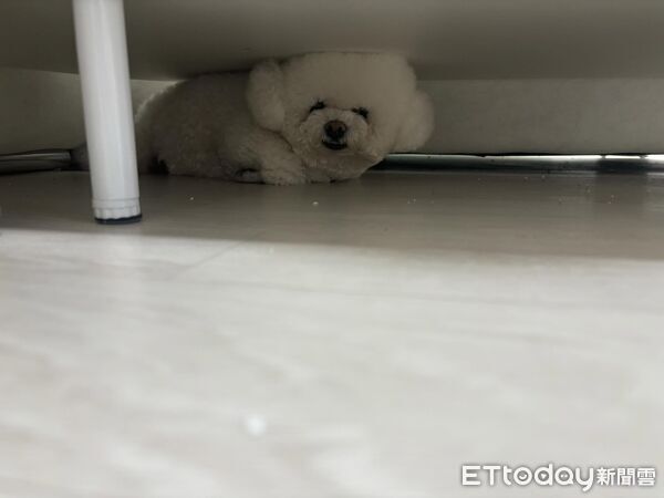 ▲。(圖/Threads@yan_yan711提供,請勿隨意翻拍,以免侵權。)