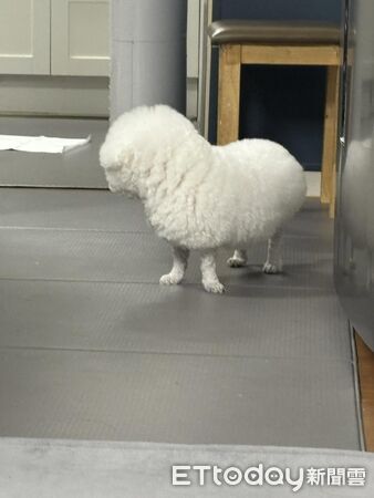 ▲。(圖/Threads@yan_yan711提供,請勿隨意翻拍,以免侵權。)