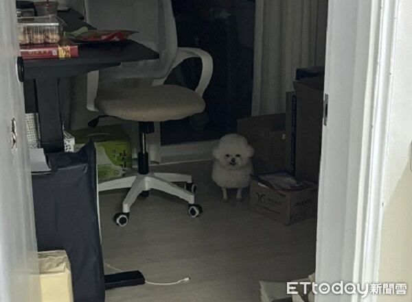 ▲。(圖/Threads@yan_yan711提供,請勿隨意翻拍,以免侵權。)