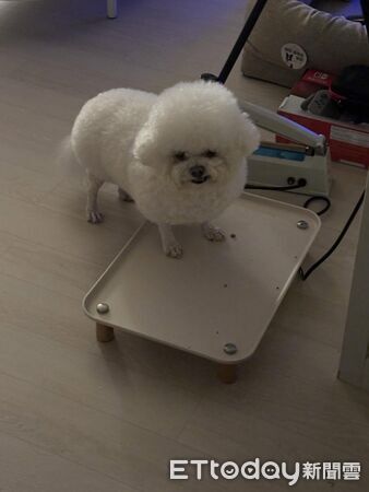 ▲。(圖/Threads@yan_yan711提供,請勿隨意翻拍,以免侵權。)