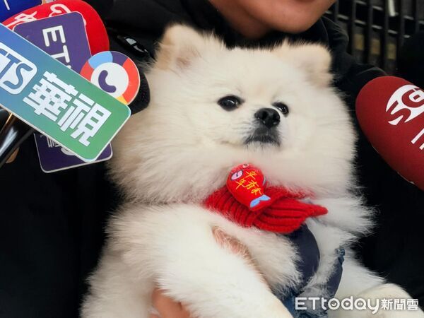 100萬招財狗。(圖/記者劉亮亨攝)