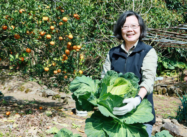 ▲▼蔡英文春節爬山走春,分享了她的山上狗朋友們。(圖/蔡英文辦公室提供)