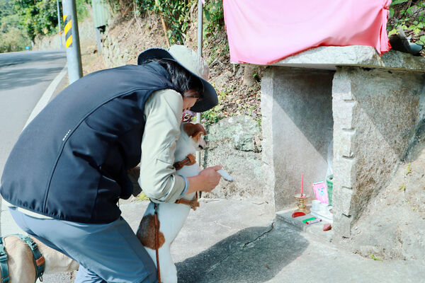 ▲▼蔡英文春節爬山走春,分享了她的山上狗朋友們。(圖/蔡英文辦公室提供)