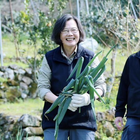 ▲▼蔡英文春節爬山走春,分享了她的山上狗朋友們。(圖/蔡英文辦公室提供)