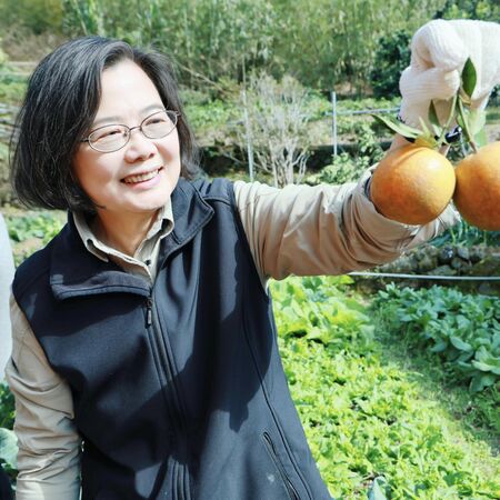 ▲▼蔡英文春節爬山走春,分享了她的山上狗朋友們。(圖/蔡英文辦公室提供)