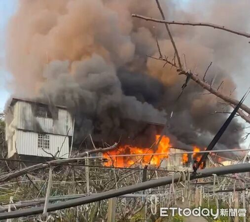 ▲▼ 。(圖/記者李陳信得攝)