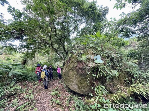 ▲▼千里眼山與立霧山、清水大山合稱「砂卡礑三雄」,其稜線可遠眺太平洋與立霧溪出海口,深受山友喜愛。(圖/太管處提供,下同)