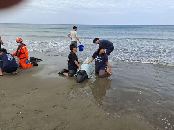 ▲(圖/翻攝自Facebook/潘芳泉-泉力以赴)