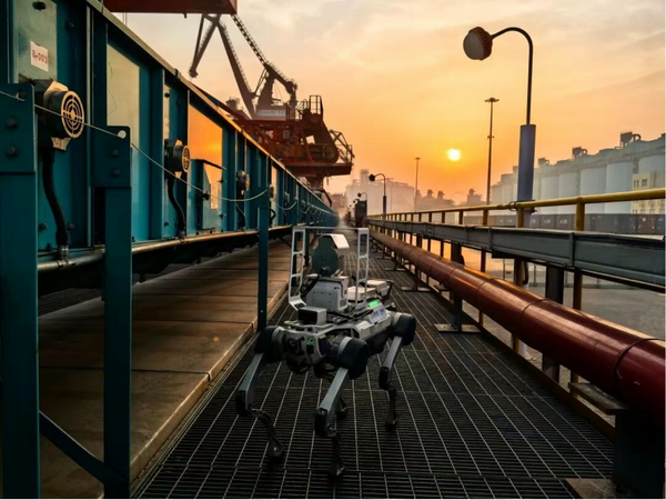 ▲青島港以21種機器人負責春節值班。(圖/取自信德海事網)